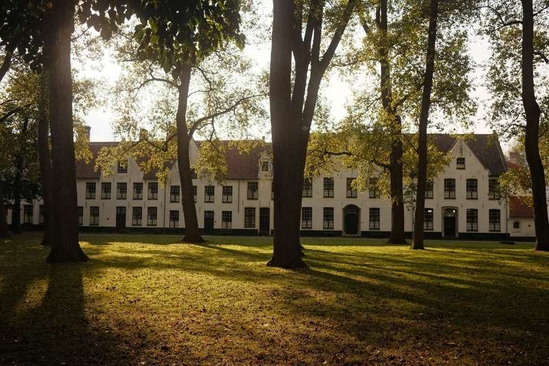 La cour arborée du béguinage de Bruges, avec ses maisons blanches alignées sous de grands arbres.